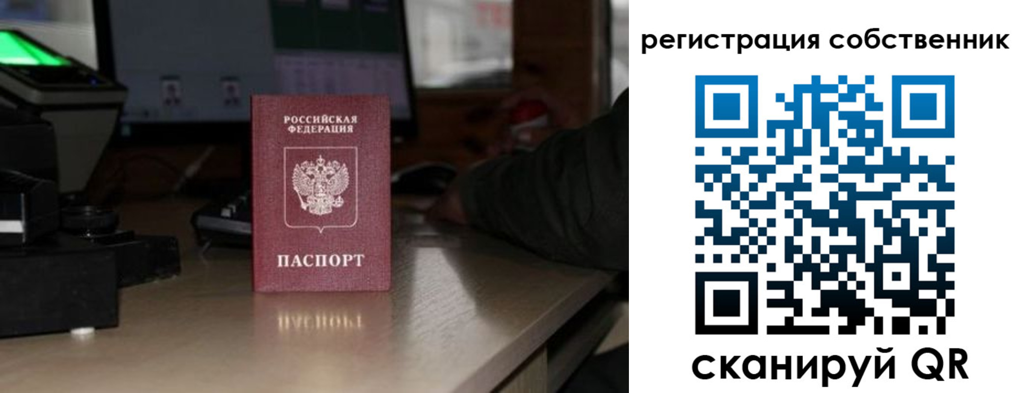 прописка поиск в Порхове